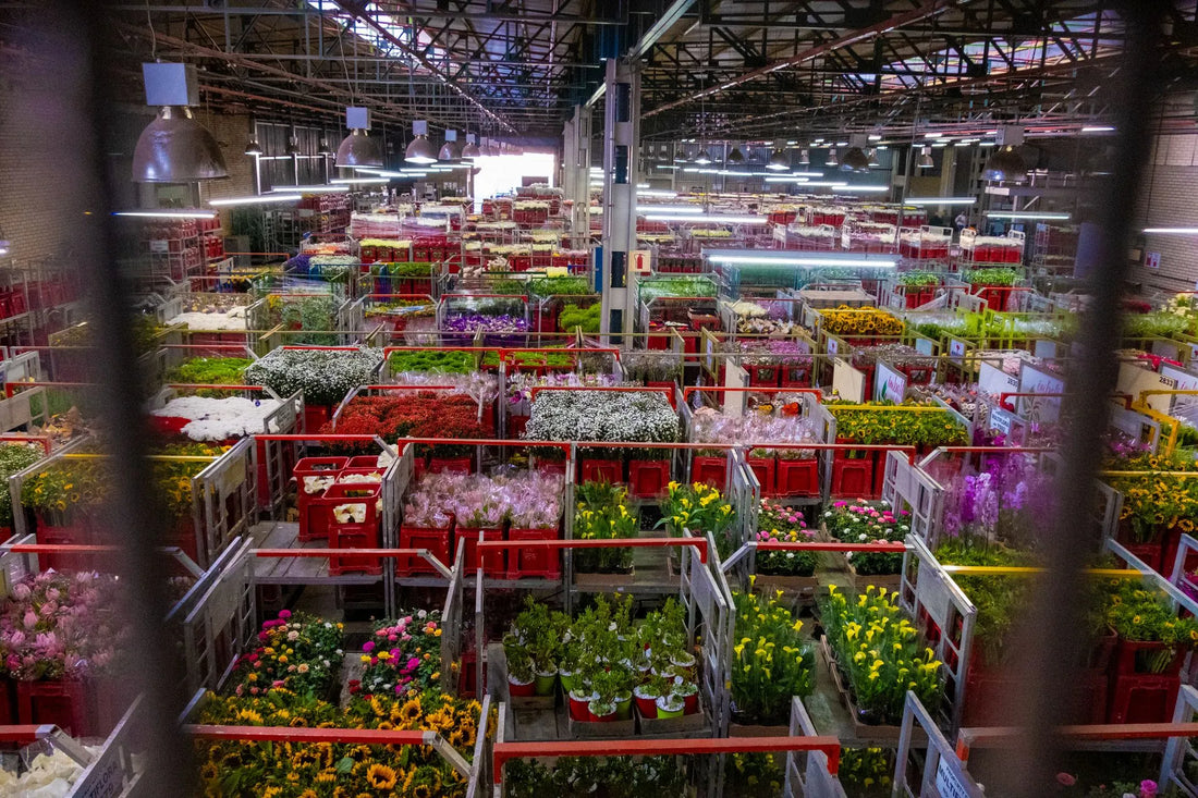 Why a Flower Boutique Offers More Than Just Blooms