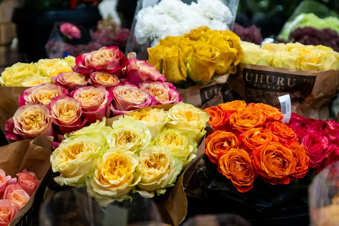 Discover the Perfect Flower Shop for Every Occasion